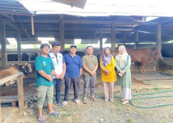 Ketua dan Panitia Qurban Masjid Al Iman Gedong Meneng Lakukan Survei Perdana Hewan Qurban