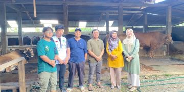 Ketua dan Panitia Qurban Masjid Al Iman Gedong Meneng Lakukan Survei Perdana Hewan Qurban
