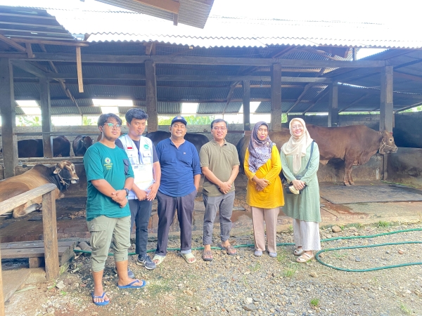 Ketua dan Panitia Qurban Masjid Al Iman Gedong Meneng Lakukan Survei Perdana Hewan Qurban