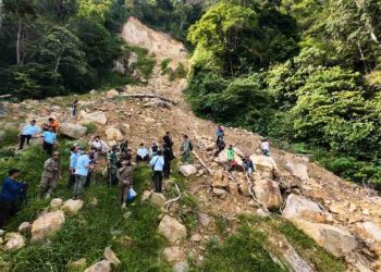 Gerak Cepat Bupati Egi Tinjau Longsor dan Tanam Pohon di Lereng Gunung Rajabasa