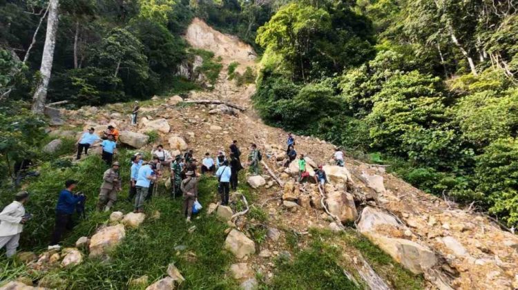 Gerak Cepat Bupati Egi Tinjau Longsor dan Tanam Pohon di Lereng Gunung Rajabasa