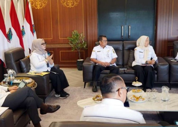 Perluas Akses Kesehatan, Bupati Egi Jajaki Kerja Sama dengan RSUD BNH