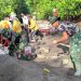 TMMD ke-128 Tanggamus: TNI Kebut Pengerasan Jalan Penghubung Tiga Pekon