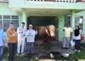 Gandeng Pejabat hingga Tokoh Kampus, PWNU Lampung Distribusikan Ribuan Paket Daging Kurban