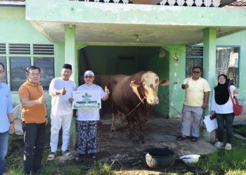 Gandeng Pejabat hingga Tokoh Kampus, PWNU Lampung Distribusikan Ribuan Paket Daging Kurban