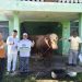 Gandeng Pejabat hingga Tokoh Kampus, PWNU Lampung Distribusikan Ribuan Paket Daging Kurban