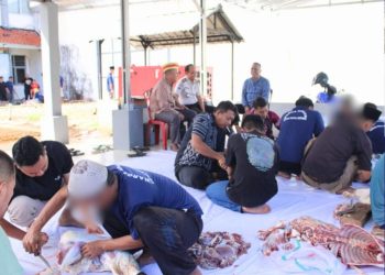 Semangat Gotong Royong, Warga Binaan Lapas Kotaagung Bahu-Membahu Kelola Hewan Kurban