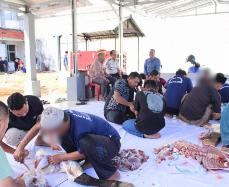 Semangat Gotong Royong, Warga Binaan Lapas Kotaagung Bahu-Membahu Kelola Hewan Kurban