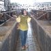 Pedagang Sapi di Palembang Utamakan Kualitas dan Kejujuran Jelang Idul Adha