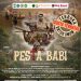 Tempat Diskusi & Bedah Film Pesta Babi Pindah, Ada Apa?