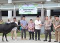 Bentuk Kepedulian kepada Masyarakat, Pemkab Pesibar Bagikan Hewan Qurban