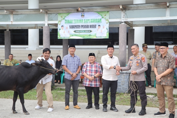 Bentuk Kepedulian kepada Masyarakat, Pemkab Pesibar Bagikan Hewan Qurban