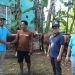 Jelang Penyembelihan, Panitia Qurban Masjid Al Iman Gedong Meneng Terima Hewan Qurban