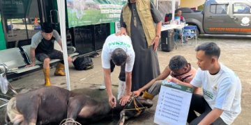 Perkuat Solidaritas Sosial, BAZNAS Sumsel Sembelih Enam Hewan Kurban pada Idul Adha 1447 H