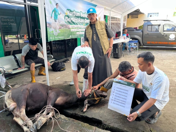 Perkuat Solidaritas Sosial, BAZNAS Sumsel Sembelih Enam Hewan Kurban pada Idul Adha 1447 H