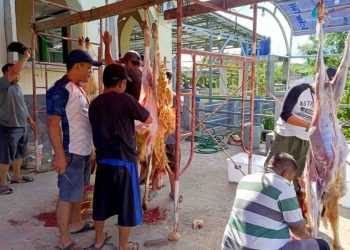 Nuansa Kebersamaan Warnai Pemotongan Hewan Kurban di Masjid An Nur Wisma Mas