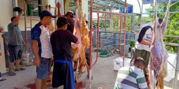 Nuansa Kebersamaan Warnai Pemotongan Hewan Kurban di Masjid An Nur Wisma Mas