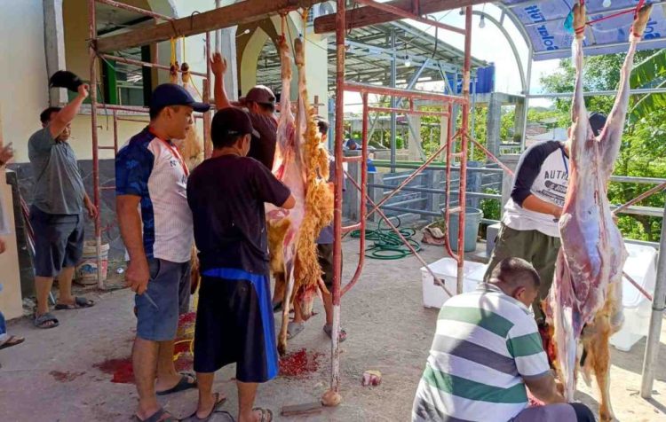 Nuansa Kebersamaan Warnai Pemotongan Hewan Kurban di Masjid An Nur Wisma Mas