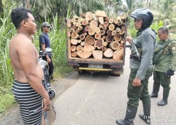Amankan Kayu Curian dan Mobil Pikap, KPH Batu Serampok Gagalkan Aksi Pembalakan Liar di Register 17