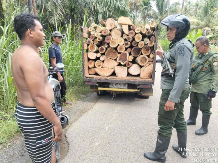 Amankan Kayu Curian dan Mobil Pikap, KPH Batu Serampok Gagalkan Aksi Pembalakan Liar di Register 17