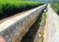 Proyek Irigasi Rp733 Juta di Tanggamus Retak-retak, Upah Pekerja Diduga Belum Lunas