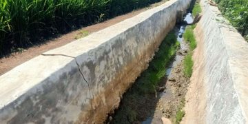Proyek Irigasi Rp733 Juta di Tanggamus Retak-retak, Upah Pekerja Diduga Belum Lunas