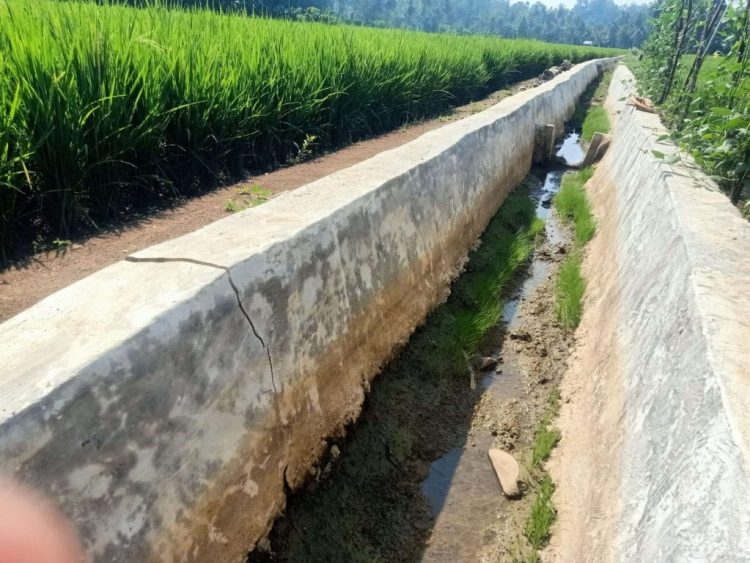 Proyek Irigasi Rp733 Juta di Tanggamus Retak-retak, Upah Pekerja Diduga Belum Lunas