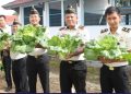 Sukseskan Program Kemandirian, Warga Binaan Lapas Kotaagung Panen Sawi di Lahan Pembinaan