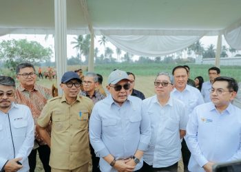 Dukung Program E10 Tahun 2028, Pemerintah Siapkan Empat Pabrik Bioetanol di Lampung