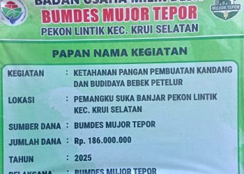 Ketua BUMDes Mujor Tepor Pekon Lintik Mundur, Dugaan Pengelolaan Dana Rp186 Juta Disorot