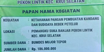 Ketua BUMDes Mujor Tepor Pekon Lintik Mundur, Dugaan Pengelolaan Dana Rp186 Juta Disorot