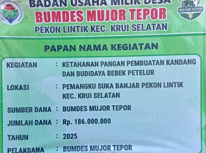 Ketua BUMDes Mujor Tepor Pekon Lintik Mundur, Dugaan Pengelolaan Dana Rp186 Juta Disorot