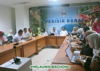 FGD Bersama Bappenas Perkuat Percepatan Pembangunan RSUD KH. Muhammad Thohir Krui