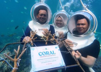 Jaga Ekosistem Laut, UIN RIL Lakukan Transplantasi Terumbu Karang di Pahawang