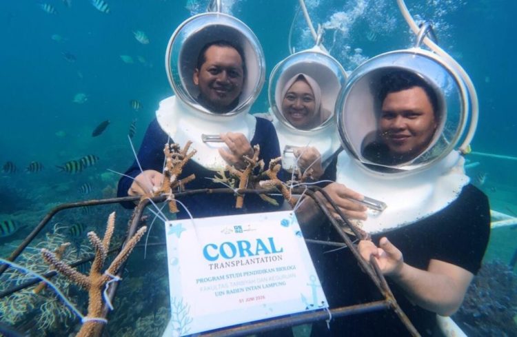Jaga Ekosistem Laut, UIN RIL Lakukan Transplantasi Terumbu Karang di Pahawang