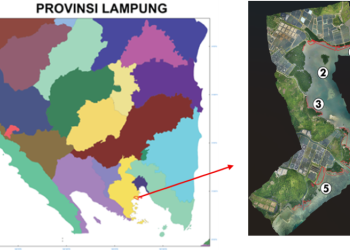 Kawasan Konservasi Mangrove Petengoran, Bukti Sinergi Masyarakat dan Kampus Menjaga Pesisir Lampung
