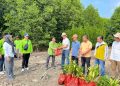 Gotong Royong Hijau, Forum CSR Lampung Tanam Mangrove di Way Lubuk dan Merak Belantung