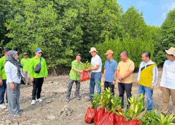 Gotong Royong Hijau, Forum CSR Lampung Tanam Mangrove di Way Lubuk dan Merak Belantung