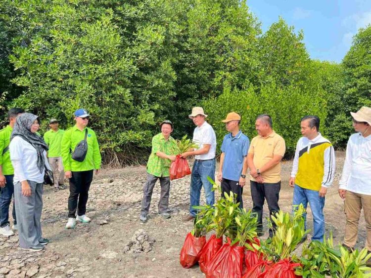 Gotong Royong Hijau, Forum CSR Lampung Tanam Mangrove di Way Lubuk dan Merak Belantung