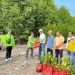 Gotong Royong Hijau, Forum CSR Lampung Tanam Mangrove di Way Lubuk dan Merak Belantung