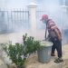 Cegah Penyebaran DBD, Puskesmas Rajabasa Indah Fogging Lingkungan Perum Bumi Puspa Kencana