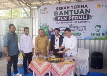 Salurkan Bantuan ke Bank Sampah Emak.id, Manager TJSL PLN Badai Marindro Dorong Kolaborasi Pengelolaan Sampah