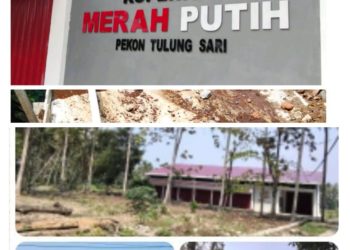 Indikasi Jual Beli Proyek dan Sunat Dana KDMP di Tanggamus, Insan Pers Minta Sanksi Tegas Oknum Terlibat