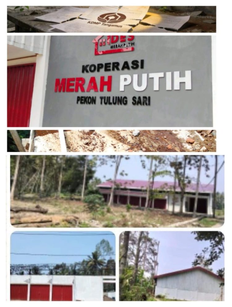 Indikasi Jual Beli Proyek dan Sunat Dana KDMP di Tanggamus, Insan Pers Minta Sanksi Tegas Oknum Terlibat