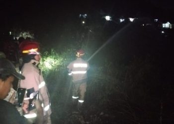 Diduga Akibat Puntung Rokok, Lahan Kering di Teluk Betung Barat Terbakar
