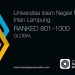 Capaian Internasional, UIN RIL Tembus Peringkat 801–1000 Dunia