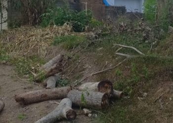 Peluang Investasi, Tanah SHM Dekat ITERA dan Pintu Tol Dijual Rp150 Juta