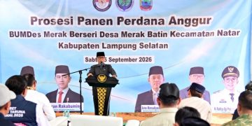 Kebun Anggur BUMDes Merak Berseri Jadi Contoh Pengembangan Ekonomi Desa