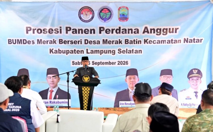 Kebun Anggur BUMDes Merak Berseri Jadi Contoh Pengembangan Ekonomi Desa