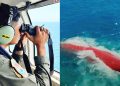 Kronologi Hilang Kontak, Terbalik, Hingga Tenggelamnya KMP Virgo Transport 8 di Masalembo Laut Jawa